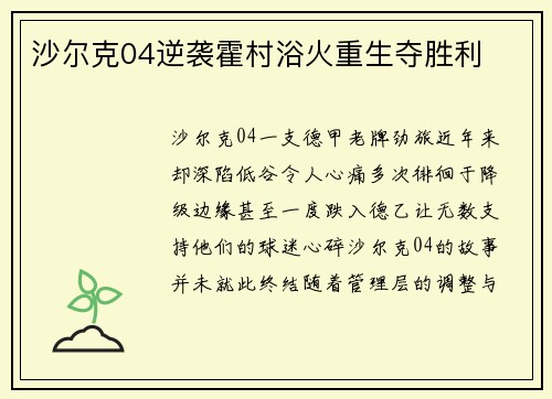 沙尔克04逆袭霍村浴火重生夺胜利